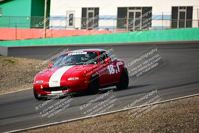 media/Feb-25-2024-Speed Ventures (Sun) [[b9a2a97a4d]]/Purple Group/Session 1 (Turns 4 and 5)/